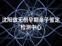 沈阳做无创孕期亲子鉴定检测中心