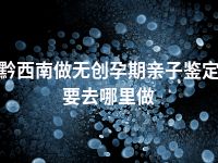 黔西南做无创孕期亲子鉴定要去哪里做