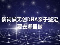 鹤岗做无创DNA亲子鉴定要去哪里做