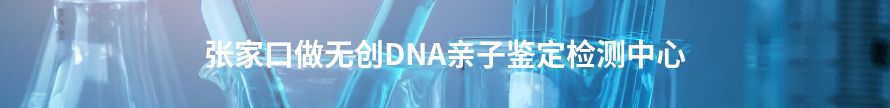 保定做无创DNA亲子鉴定检测中心