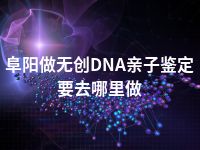 阜阳做无创DNA亲子鉴定要去哪里做