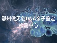 鄂州做无创DNA亲子鉴定检测中心