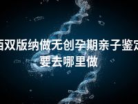 西双版纳做无创孕期亲子鉴定要去哪里做