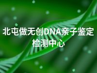 北屯做无创DNA亲子鉴定检测中心