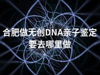 合肥做无创DNA亲子鉴定要去哪里做