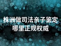 株洲做司法亲子鉴定哪里正规权威