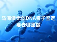 乌海做无创DNA亲子鉴定要去哪里做