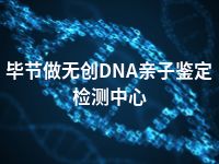 毕节做无创DNA亲子鉴定检测中心