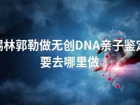 锡林郭勒做无创DNA亲子鉴定要去哪里做