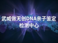 武威做无创DNA亲子鉴定检测中心