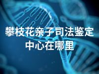 攀枝花亲子司法鉴定中心在哪里