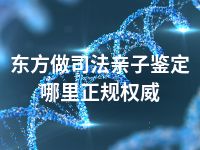 东方做司法亲子鉴定哪里正规权威