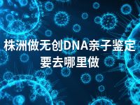 株洲做无创DNA亲子鉴定要去哪里做