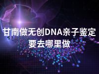 甘南做无创DNA亲子鉴定要去哪里做