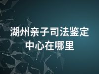 湖州亲子司法鉴定中心在哪里