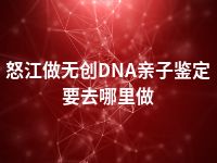 怒江做无创DNA亲子鉴定要去哪里做