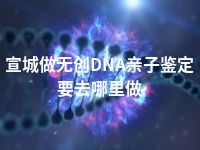 宣城做无创DNA亲子鉴定要去哪里做