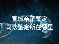 宣城亲子鉴定司法鉴定所在哪里