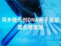 萍乡做无创DNA亲子鉴定要去哪里做