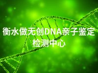 衡水做无创DNA亲子鉴定检测中心