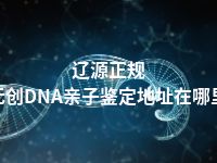 辽源正规无创DNA亲子鉴定地址在哪里