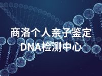 商洛个人亲子鉴定DNA检测中心