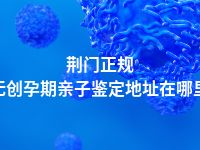 荆门正规无创孕期亲子鉴定地址在哪里