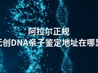 阿拉尔正规无创DNA亲子鉴定地址在哪里