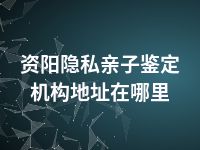 资阳隐私亲子鉴定机构地址在哪里