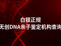 白银正规无创DNA亲子鉴定机构查询