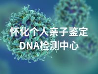 怀化个人亲子鉴定DNA检测中心