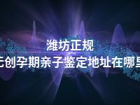 潍坊正规无创孕期亲子鉴定地址在哪里