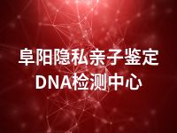 阜阳隐私亲子鉴定DNA检测中心