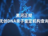 黑河正规无创DNA亲子鉴定机构查询