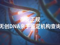 泰安正规无创DNA亲子鉴定机构查询