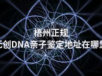 梧州正规无创DNA亲子鉴定地址在哪里