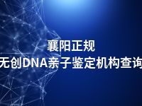 襄阳正规无创DNA亲子鉴定机构查询