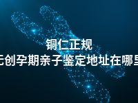 铜仁正规无创孕期亲子鉴定地址在哪里