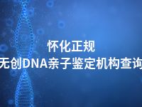 怀化正规无创DNA亲子鉴定机构查询