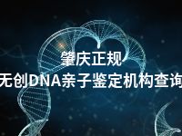 肇庆正规无创DNA亲子鉴定机构查询