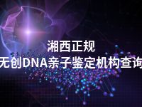 湘西正规无创DNA亲子鉴定机构查询