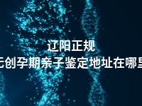 辽阳正规无创孕期亲子鉴定地址在哪里