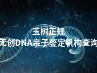 玉树正规无创DNA亲子鉴定机构查询