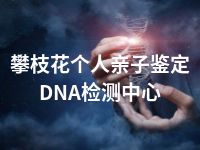 攀枝花个人亲子鉴定DNA检测中心