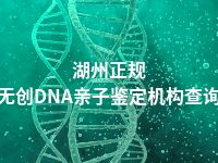 湖州正规无创DNA亲子鉴定机构查询