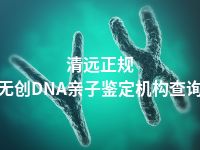 清远正规无创DNA亲子鉴定机构查询