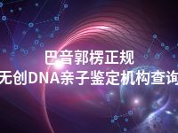 巴音郭楞正规无创DNA亲子鉴定机构查询