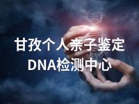 甘孜个人亲子鉴定DNA检测中心