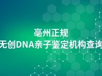 亳州正规无创DNA亲子鉴定机构查询