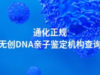 通化正规无创DNA亲子鉴定机构查询